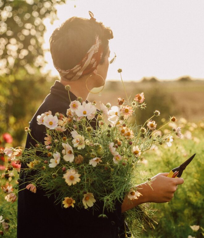 shooting fleuriste arras